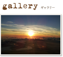 gallery ギャラリー